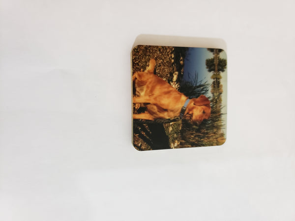Wood Photo Magnet Personalized