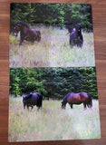 8X10 GLOSSY WHITE ALUMINUM PHOTO PANEL